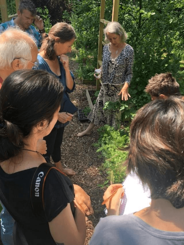2026, 27 April – 1 May:  5-day Hedgerow Medicine Course - South Norfolk