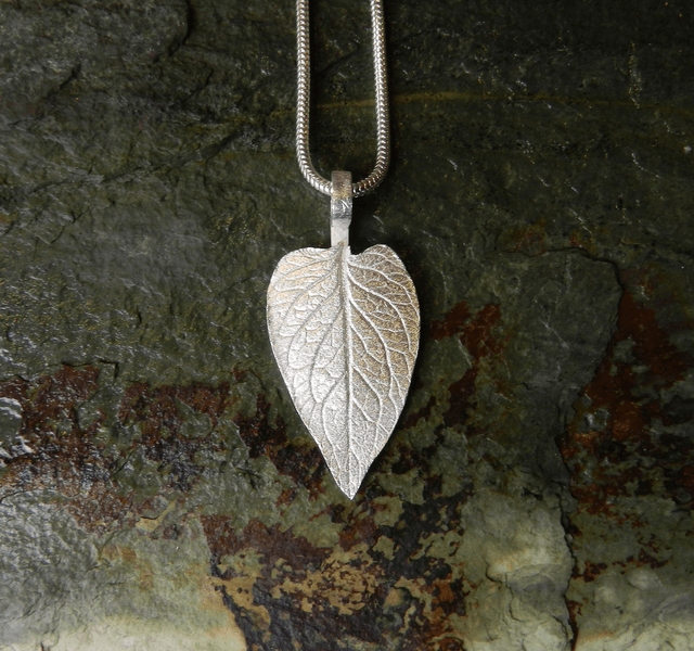 Potato leaf
