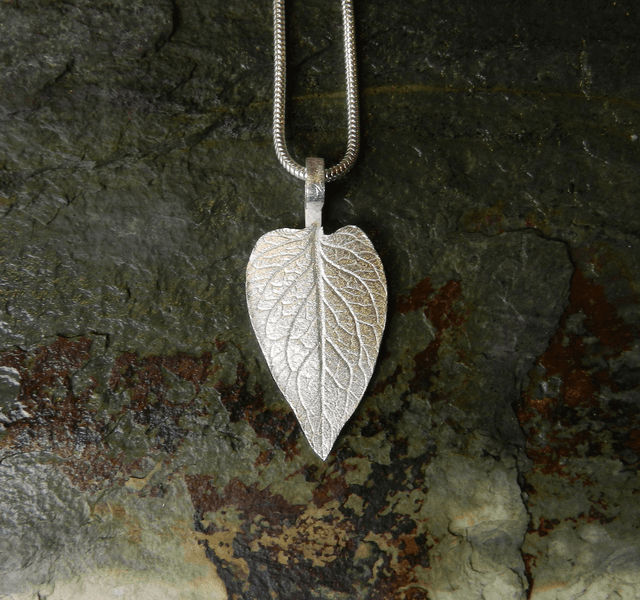 Potato leaf